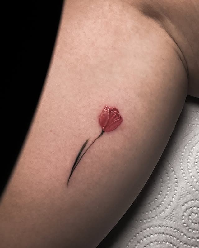 Portfolio image 31