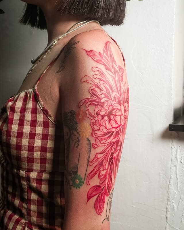 Portfolio image 46