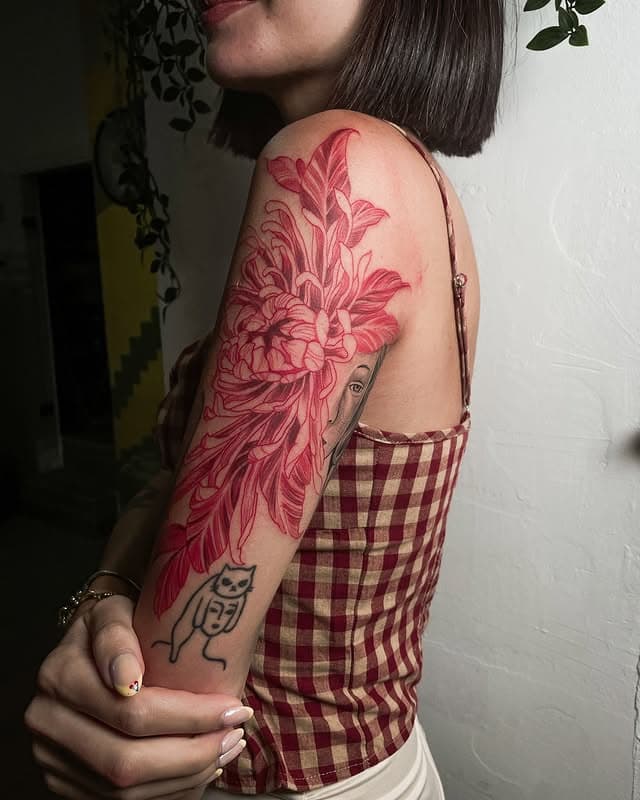 Portfolio image 49