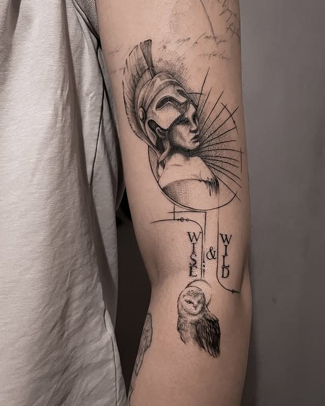 Portfolio image 50